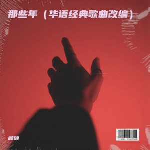 那些年（华语经典歌曲改编）