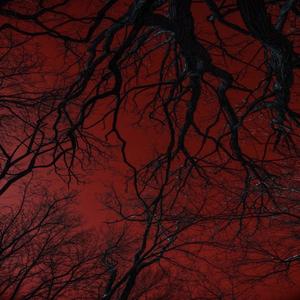 Denial (feat. altpluto) (Explicit)