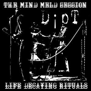 The Mind Meld Session