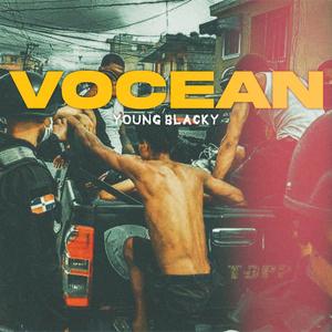 Vocean (Explicit)