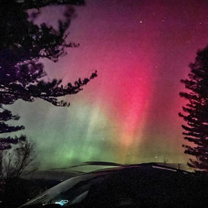 Cookie Whaler (Part 2)