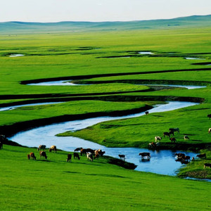 草原是我永远的故乡 (Demo)