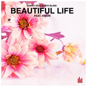 Beautiful Life (Extended Mix)