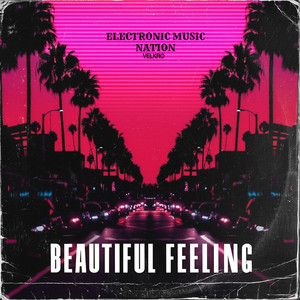 Electronic Feeling