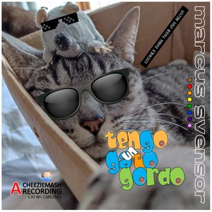 Tengo un Gato Gordo (Luckies Dark Tiger Mix Recut)