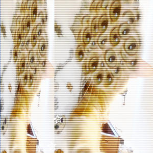 TOO MANY FAT HOES IN MY CAR (Explicit)