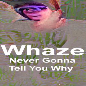 Never Gonna Tell You Why