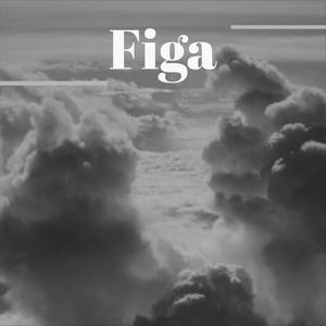 Figa