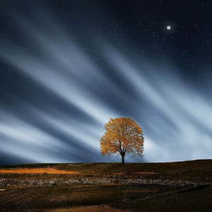 这一生关于你的风景