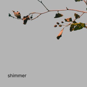 shimmer