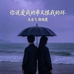 你说爱我的乖又恨我的坏 (伴奏)