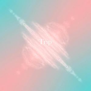 Trip