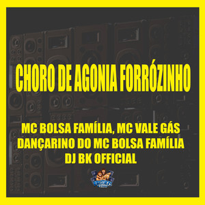 Choro de Agonia Forrózinho