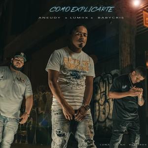 Como Explicarte(feat. Baby Cris & Aneudy)