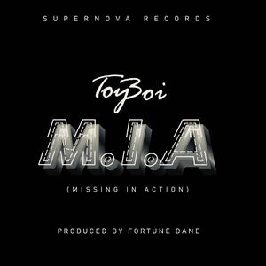 M.I.A(Missing in Action)