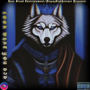 SHAKE BACC (feat. NDB Homer & Narcotikz) (Explicit)