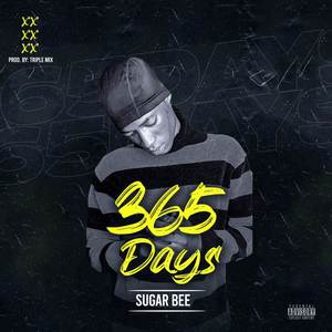 365 Days (Explicit)