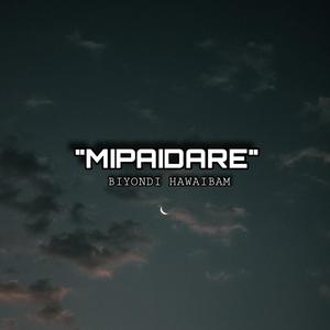 Mipaidare
