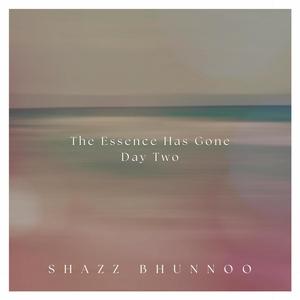 The Essence Has Gone (Day Two)