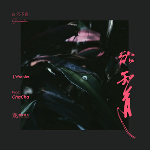 I Wonder-白天不亮Feat.ChaCha