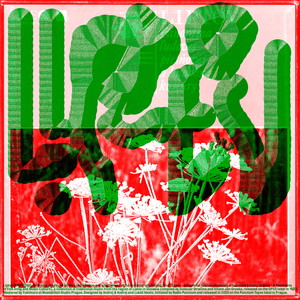 Liptovská Revúca