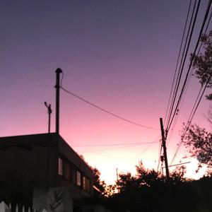 bailemos juntos (rough) <3