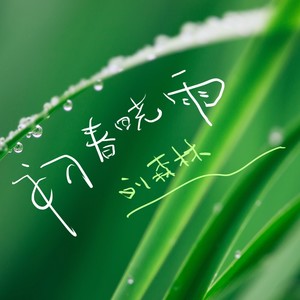 初春晓雨