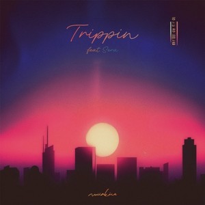 Trippin (feat. Sora) (Remix)