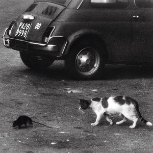 Mind Tricks (Explicit)