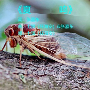 夏鸣