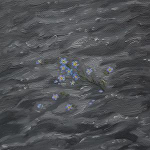 forget-me-not