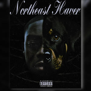 Drakes For The Snakes (feat. Ant Money) (Explicit)