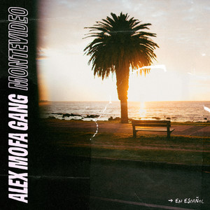 Montevideo (En español)