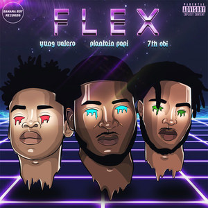 Flex (Explicit)