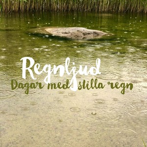 Dagar med stilla regn