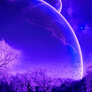 The starry sky is not lonely 6