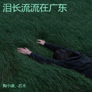 泪长流流在广东 (伴奏)