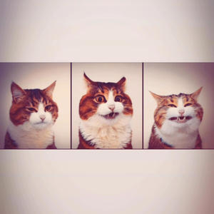 Mantra (feat. Glo1) (Explicit)