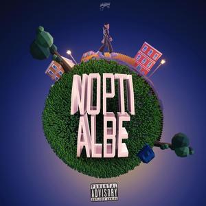 Nopti Albe (feat. NDG & SECHO) [Explicit]