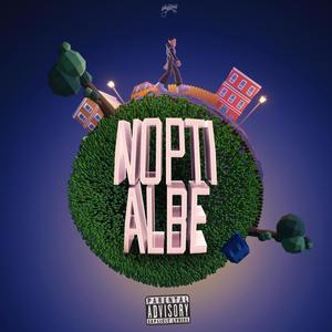 Nopti Albe (feat. NDG & SECHO) (Explicit)