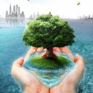 五行养生丨肠胃疗愈