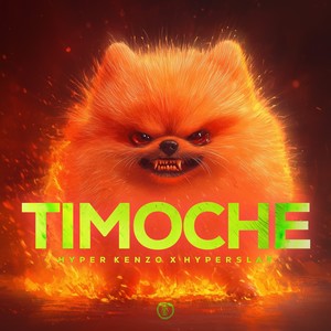 TIMOCHE