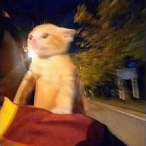 Cold Heart (feat. Hxy)