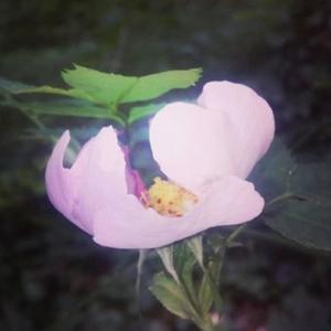 Heartbroken (feat. Petr Vachulka)