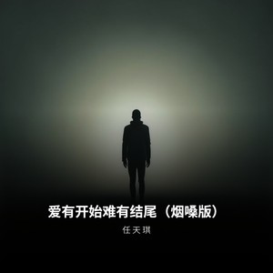 爱有开始难有结尾 (烟嗓版) - 任天琪封面