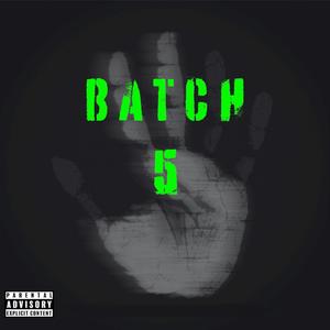 Batch 5 (Explicit)