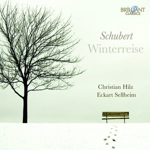 Winterreise, D. 911 - No. 18, Der stürmische Morgen