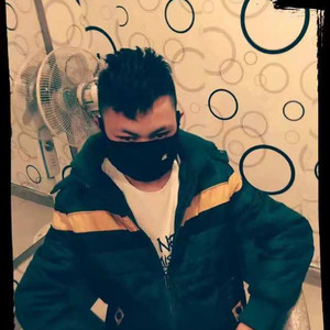 路边的蔷薇