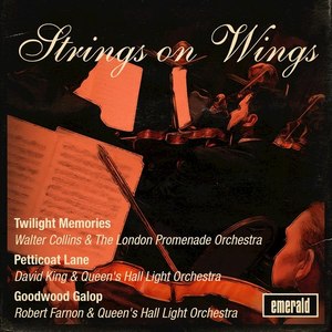 Strings on Wings