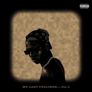 MY LAST FEELINGS.....for u (Explicit)